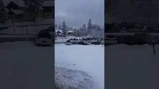 Black Forest in Winter 🌨️#shorts #snowfall