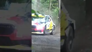 Michael Lengauer on the Limit / Land der 1000 H&uuml;gel Rallye 2025