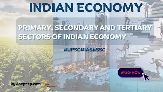 Understanding the Primary, Secondary, and Tertiary Sectors of the Indian Economy
