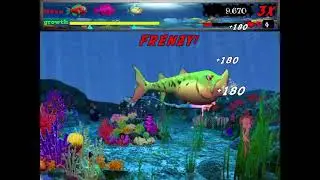 Feeding Frenzy  20