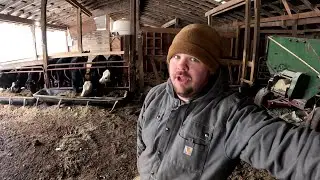 НИЗКИЕ ТЕМПЕРАТУРЫ ТРУДНЫ ДЛЯ ФЕРМЕРСКОЙ ЖИЗНИ