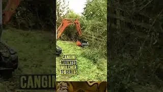 Cangini Mounted Mulcher | Attachments #shorts #tiktok #excavatorattachments