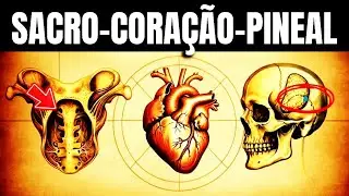O Eixo Sacro–Coração–Pineal: Desbloqueie Agora O Verdadeiro Poder Criador.