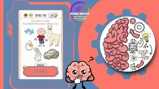 Brain Test: Tap them in order: Boy-Rabbit-Bird-Llama-Chicken-Cat | Level 310