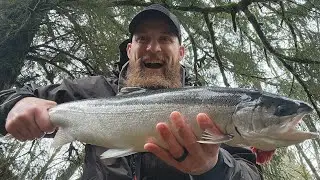 First 2024 Winter Steelhead Hen with Eggs on NEW River #fishing #steelhead #wintersteelhead