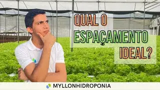 ESPAÇAMENTO ENTRE OS TUBOS NA HIDROPONIA.