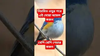 নিয়মিত ওযুর পরে এই দোয়া আমল করুন ❤️🤲 #shorts #islamicshorts #dua #allah #viral