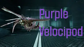Warframe - Простой гид по фиолетовой метке Velocipod 2026