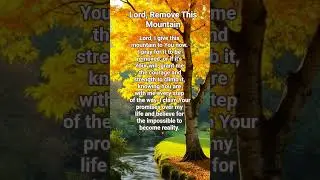 #itrustyoulord #god #jesus #prayer #gospel #grace #mercy #philippians2mindset #christianprayer