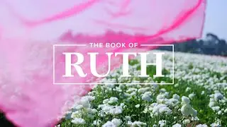 The Book of Ruth with Bianca Ju&aacute;rez | Bible Study Session 2 | Ruth 2:1&ndash;4 | RightNow Media