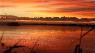 Duck Season Is BACK 🦆 | PECAN ISLAND OPENING DUCK HUNTING WEEKEND 2025
