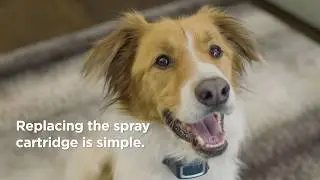 How to replace the cartridge in the PetSafe&reg;&nbsp;Spray Collars