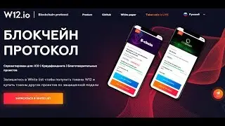 W12 :ICO Обзор . Решение проблемы скама ICO проектов