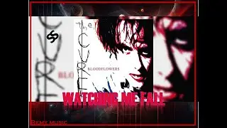 Watching Me Fall. Álbum full Bloodflowers HD. 02 febrero 2000. THE CURE. Music in Successo Asocia2.