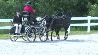 6-14-2013 Sarah Bates Dressage Orleton Farm Combined Test 2013