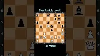 Tal Mihail vs. Shamkovich Leonid Circa on 1955