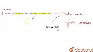 Which type of muscle fibres show rhythmic contraction? | CLASS 9 | TISSUE | BIOLOGY | Doubtnut