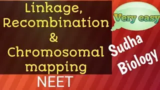 Linkage and recombination