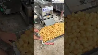 Worlds First Mini Panipuri Fryer Machine | Mini Golgappa Fryer Machine | #shorts #shortsfeed #viral