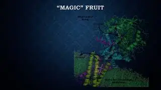 William Lane Craig and Genesis - Episode 8: Aging and the Flood Part I