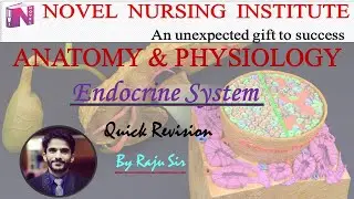 ANATOMY &  PHYSIOLOGY || Endocrine System || Quick Revision || Raju Sir #rajusir