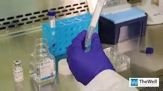 2D Cell Coating with VitroGel&reg; Hydrogel System - Method 2 : TheWell Bioscience