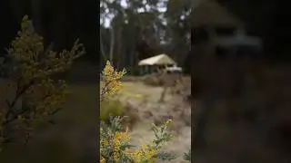 Solo camping on ruins and iced coffee🏕️☕️