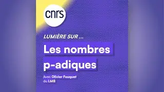 Lumi&egrave;re sur... Les nombres p-adiques