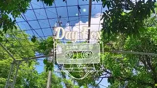 Backsound fun traveling for video | DayFox - Lioness (NoCopyright)