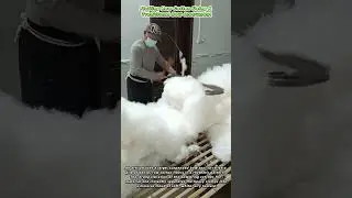 Fluffing Raw Cotton Using A Traditional Bow Instrument