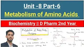 Metabolism of Amino Acids || Unit-8 || In hindi || #metabolismofaminoacids