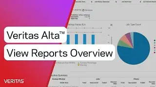 Veritas Alta&trade; View Reports Overview