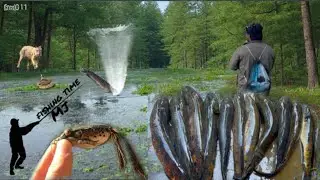 Snakehead fishing 🎣 Il welcome 🤗 my new videos || #Fishing #mj011_mix_vlog #viral 🎣🎏🐟