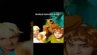 SCOOBY GOT PTSD 😭 #scoobydoo #shaggy #memes #funny #noimnotahuman
