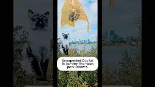 Unexpected Cat Art in Tommy Thomson park Toronto featuring a monarch hairy cat