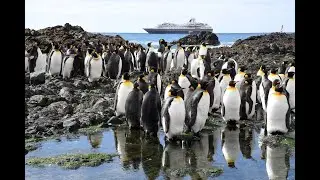 Heritage Expeditions Birding Down Under Voyage 2025