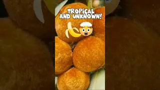 Weird Filipino Fruits You&rsquo;ll Wish You Tried Sooner! 🍌🍈