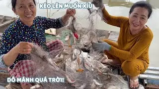 Kéo lưới cá sác dô mánh. Cá dính kín lưới coi đã con mắt! #ngườiđồngtháp