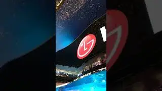 Dubai mall