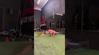 Dynamic Push ups/For the Love of Health/Fitness