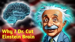 Why ? Dr. Cut Albert Einstein Brain || Mr Nobe