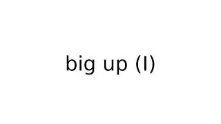 big up I #phrasalverbs #phrasalverb #english #meaning #meanings #definition #definitions