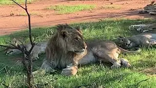 Namibia, Day 2 - Mount Etjo