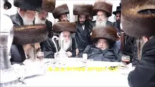 האדמו