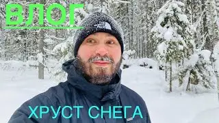 Влог 4K Лечебная ходьба по лесу #youtuber #vlog #outdoor #мороз #выживание #танцы