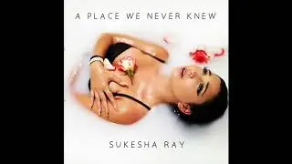 Sukesha Ray - A Place We Never Knew (Official Audio)