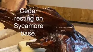 I make a new sycamore base for burnt cedar root.