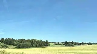 🚗 Danish Summer Road Trip | 30-Minute Drive to Roskilde Festival