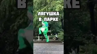 Лягушка понравилась прост 🙂 #life #box #boxing #lifestyle