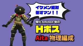 FF11 ソーティ 強化Aminon後の物理Ｈボス